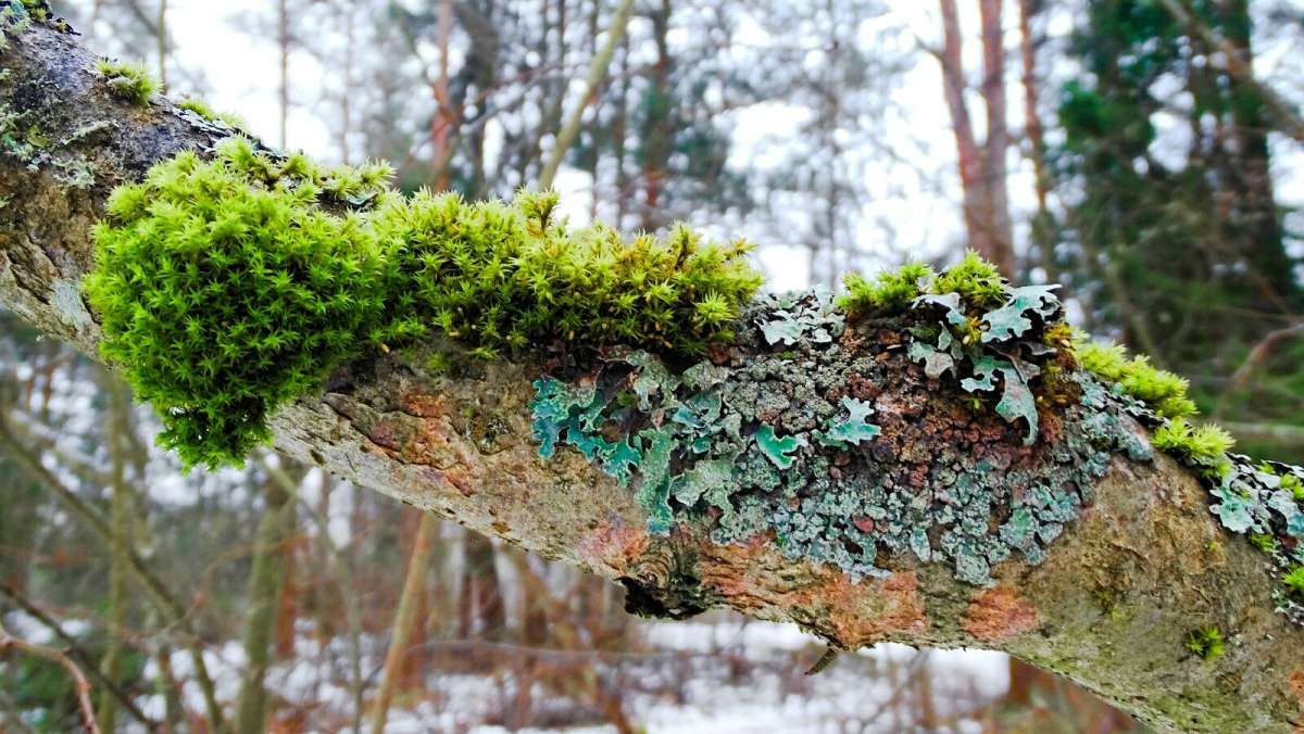 ���������� ������� � ������ ����. ����� �������� �������� �� PhotoGeek.ru #������ ��� �������