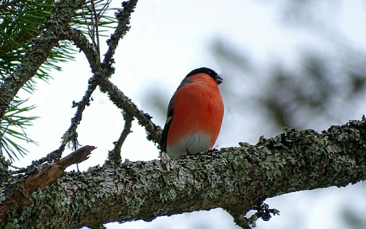 ������� � ����������� ����. ����� �������� �������� �� PhotoGeek.ru #�������� ���