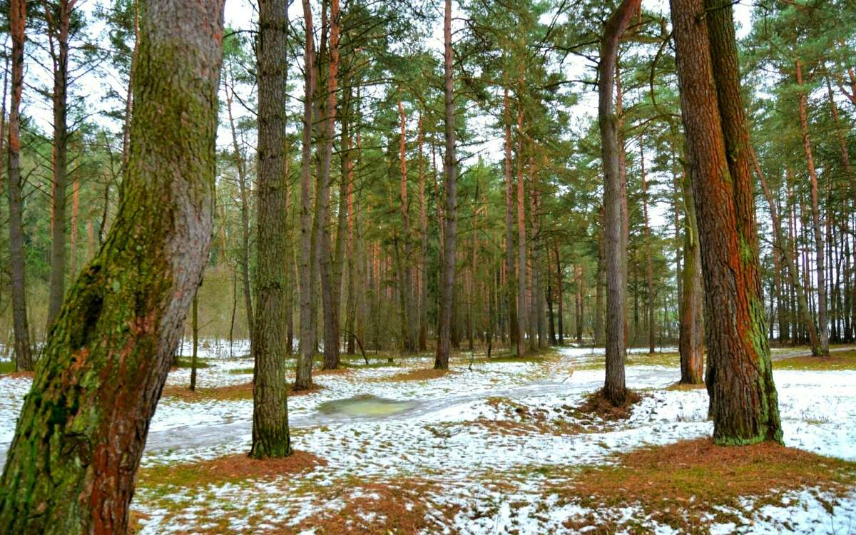 ������ ������ � ���������� ����. ����� �������� �������� �� PhotoGeek.ru #������ ��� �������