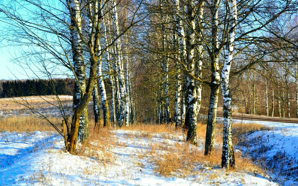 ������ ������ � ���������� ���� ����� �������� �������� �� PhotoGeek.ru #������ ��� �������