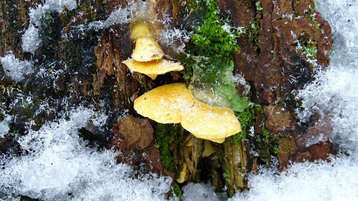 ������������ �����. ����� �������� �������� �� PhotoGeek.ru #����� #������ ��� �������