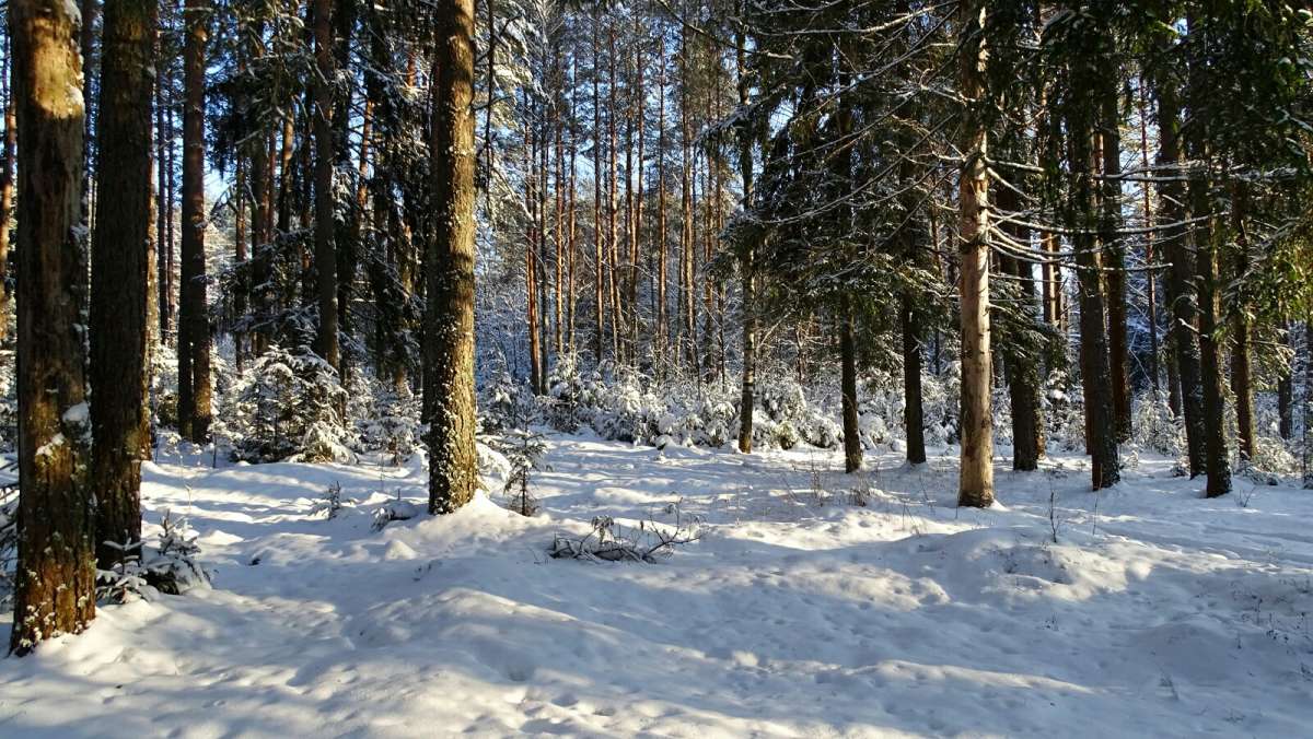 ��� ���������� ���� (�� ������� ������ ������� ���) ����� �������� �������� �� PhotoGeek.ru #������ ��� �������