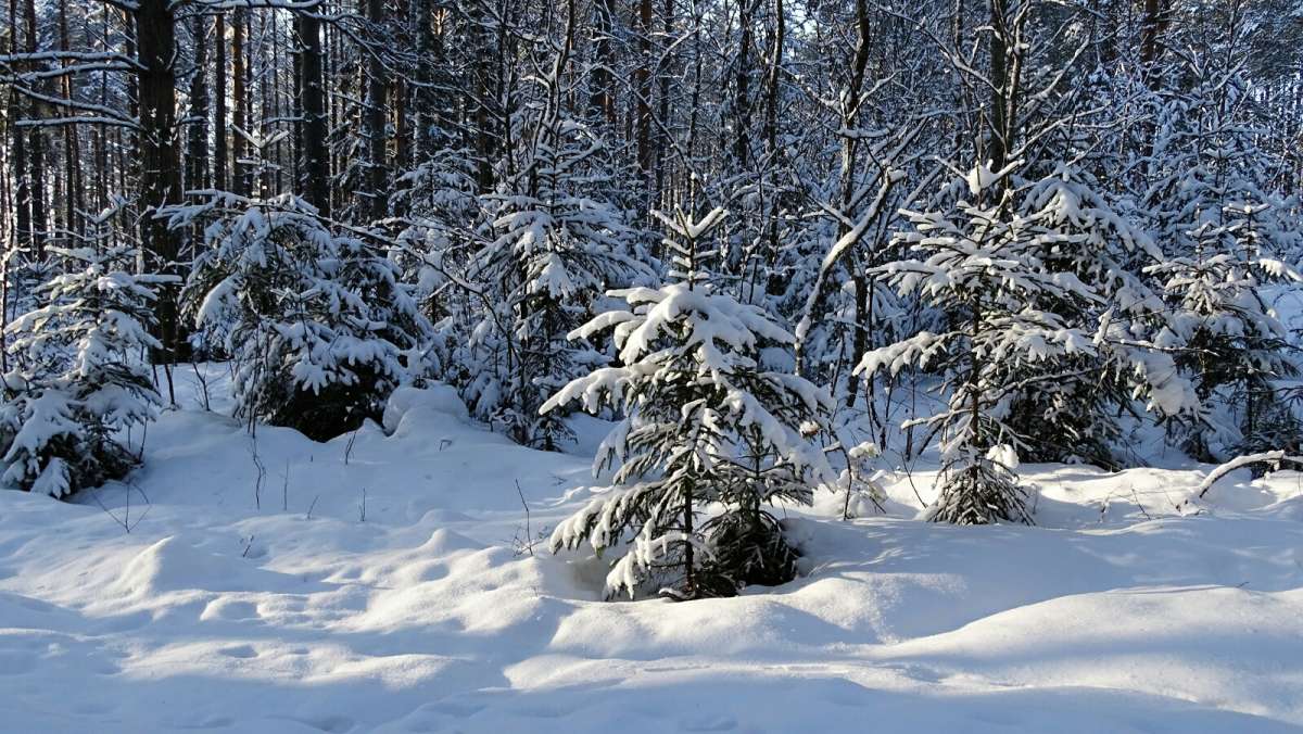 ���� ���� ������� � �������� (�� ������� ������ ������� ���) ����� �������� �������� �� PhotoGeek.ru #������ ��� �������