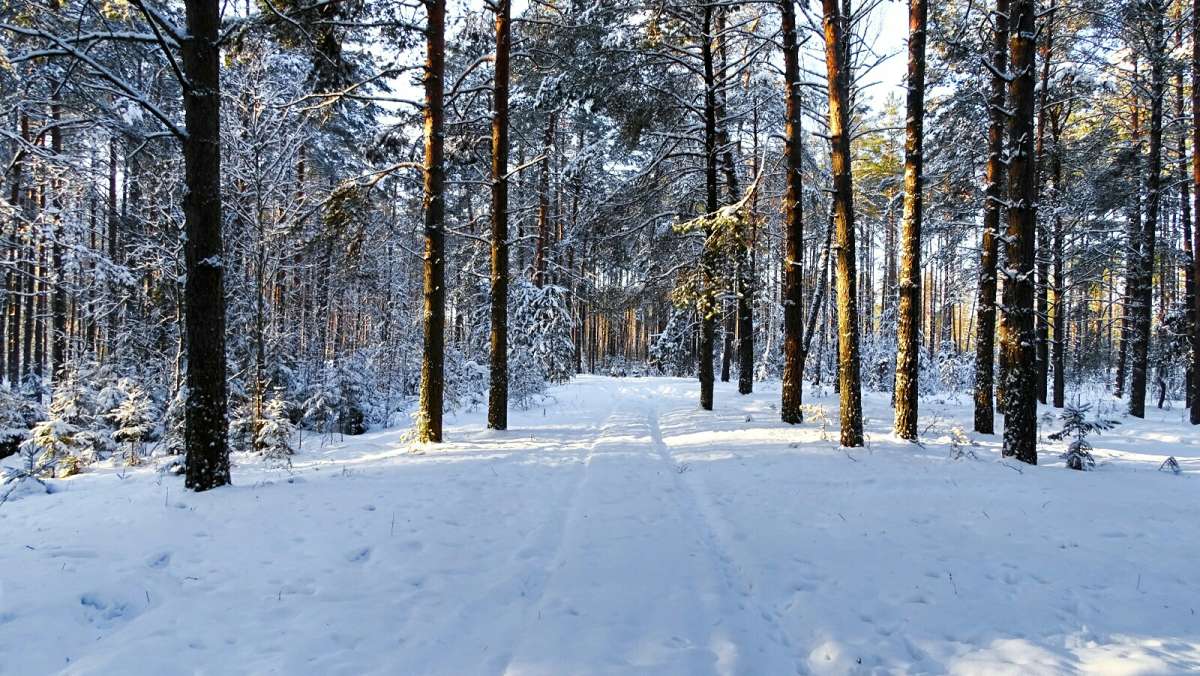 ��� ���������� ���� (�� ������� ������ ������� ���). ����� �������� �������� �� PhotoGeek.ru #������ ��� �������