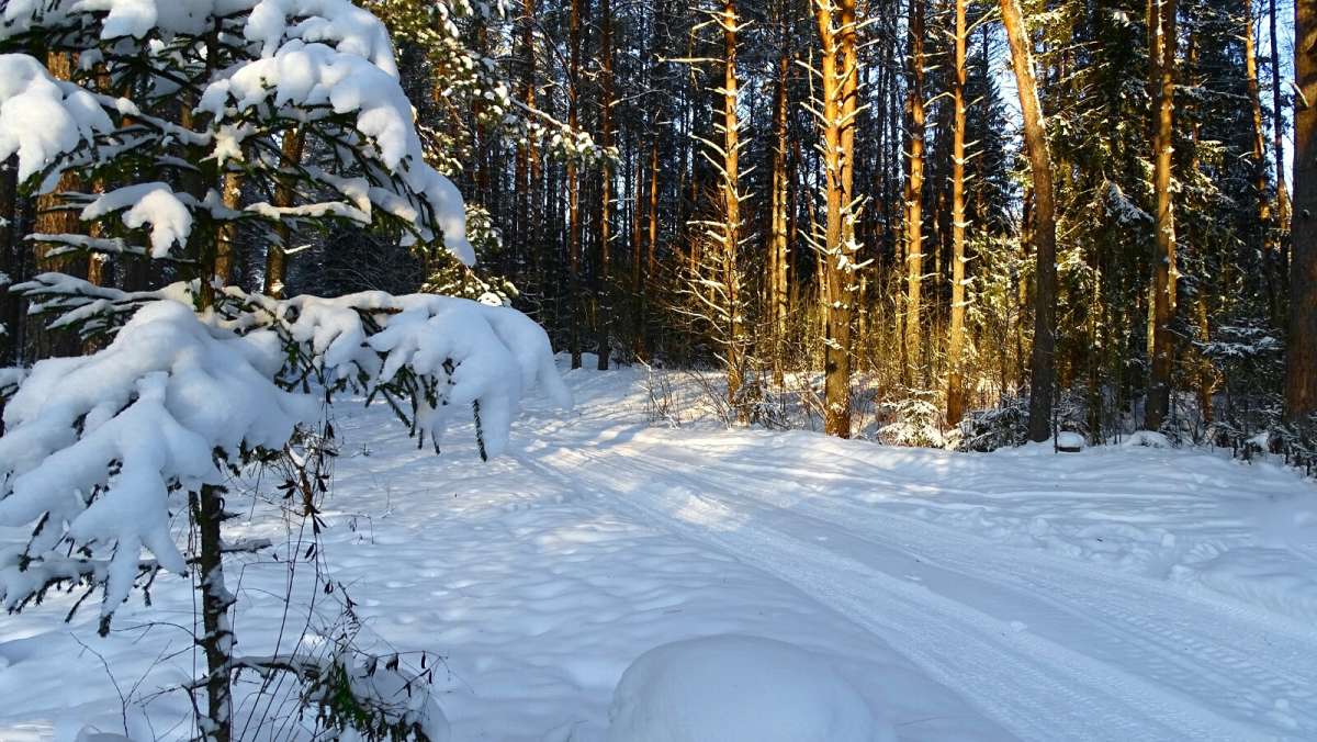��� ���������� ���� (�� ������� ������ ������� ���) ����� �������� �������� �� PhotoGeek.ru #������ ��� �������
