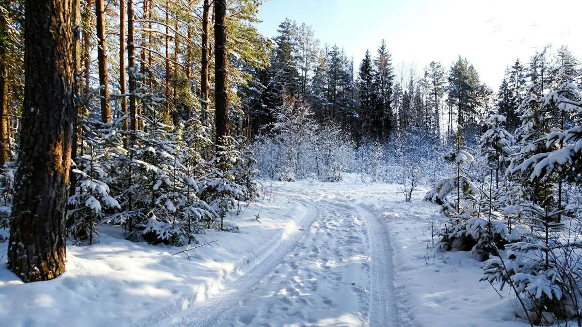 ��� ���������� ���� (�� ������� ������ ������� ���). ����� �������� �������� �� PhotoGeek.ru #������ ��� �������