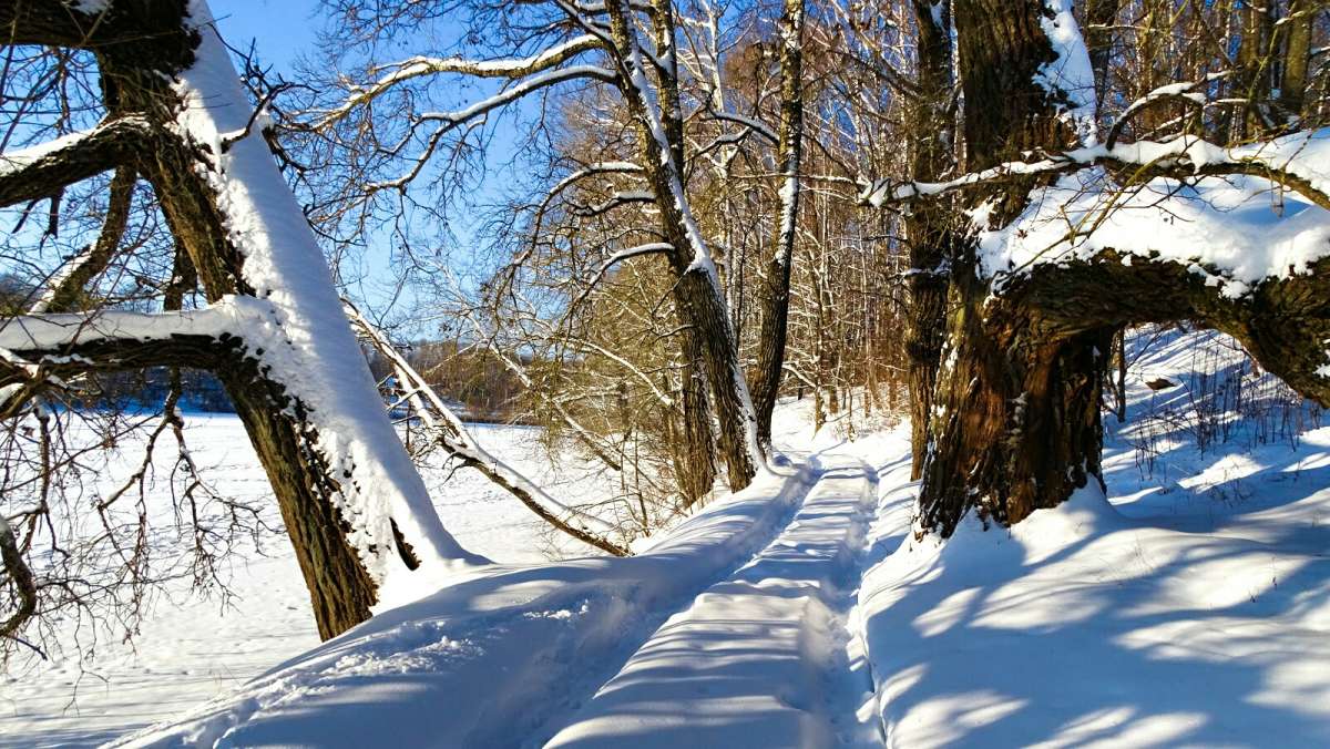 ���� ���� ������� (�� ������� ������ ������� ���). ����� �������� �������� �� PhotoGeek.ru #������ ��� �������