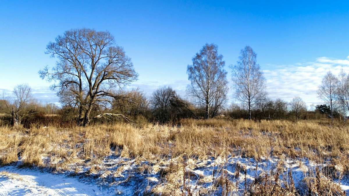 ������� ���������� � ���� ���. ����� �������� �������� �� PhotoGeek.ru #������ ��� �������