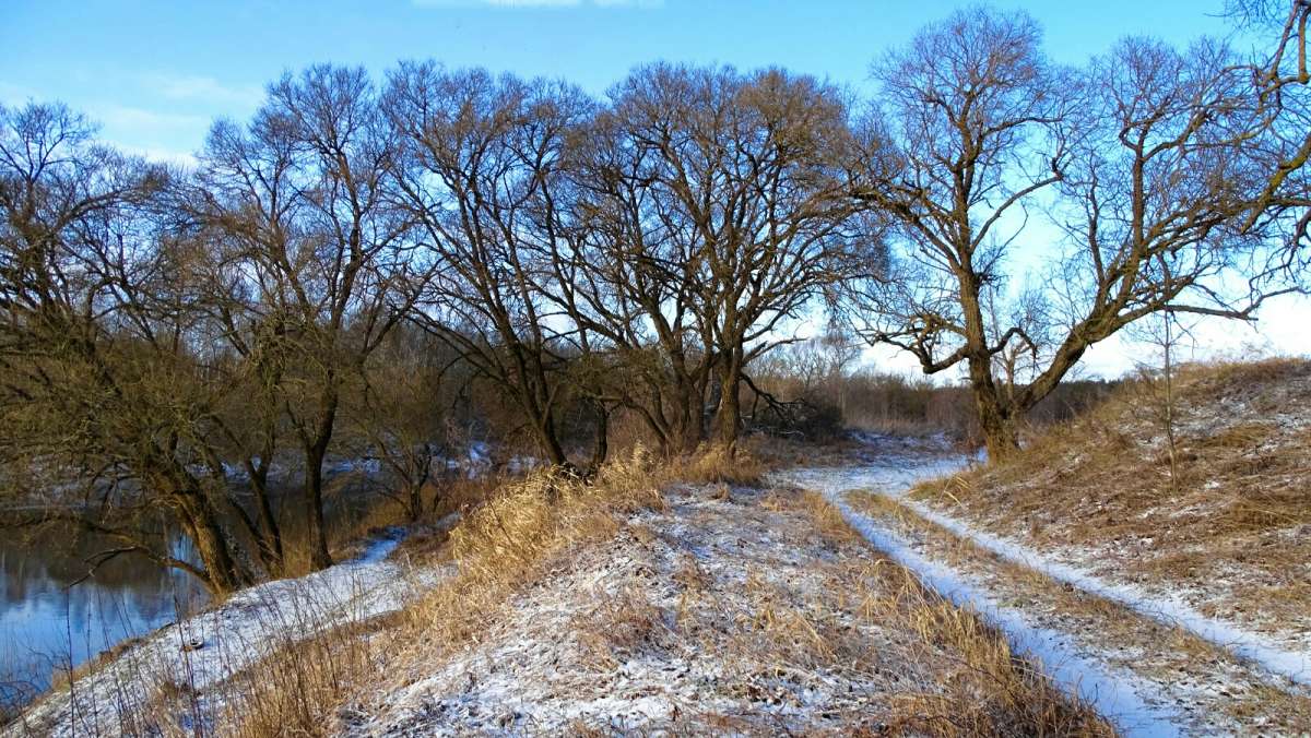 ������ ������� �� ������ ������. ����� �������� �������� �� PhotoGeek.ru #������ ��� �������