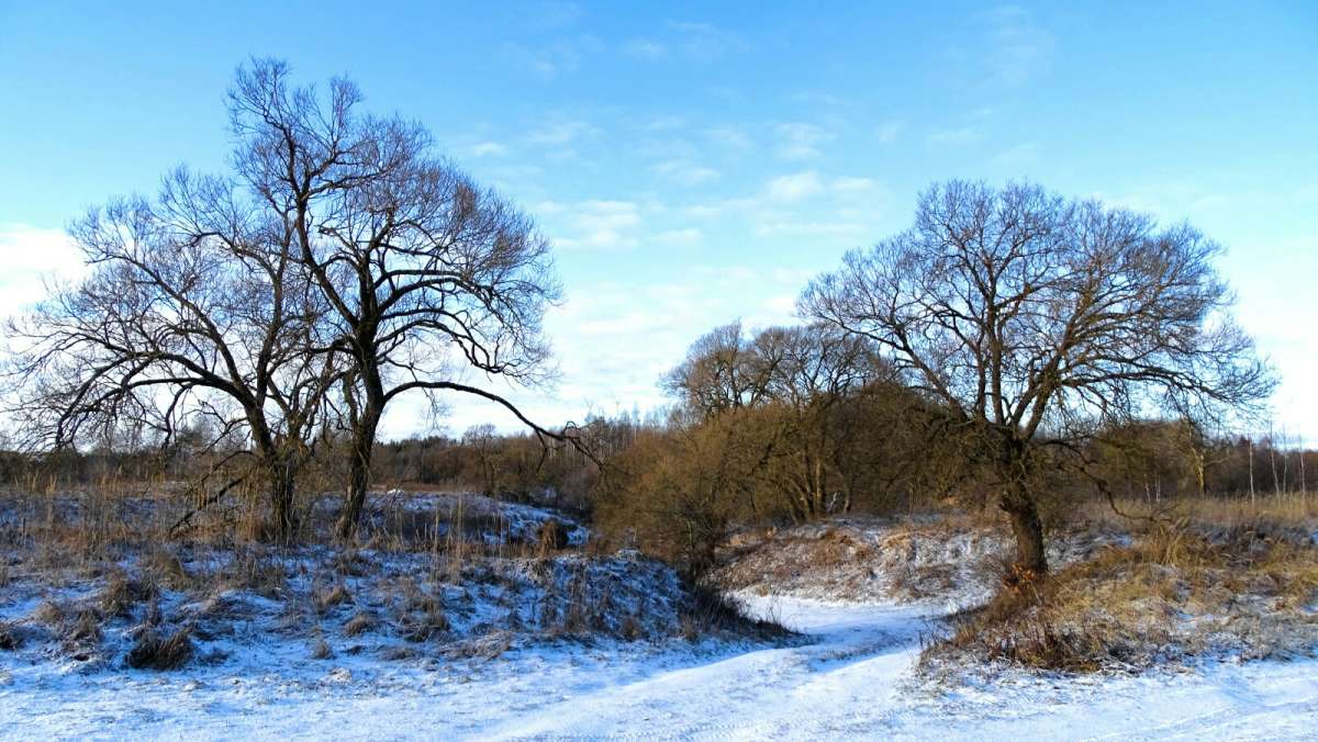 ��� ���� � ���� ���. ����� �������� �������� �� PhotoGeek.ru #������ ��� �������