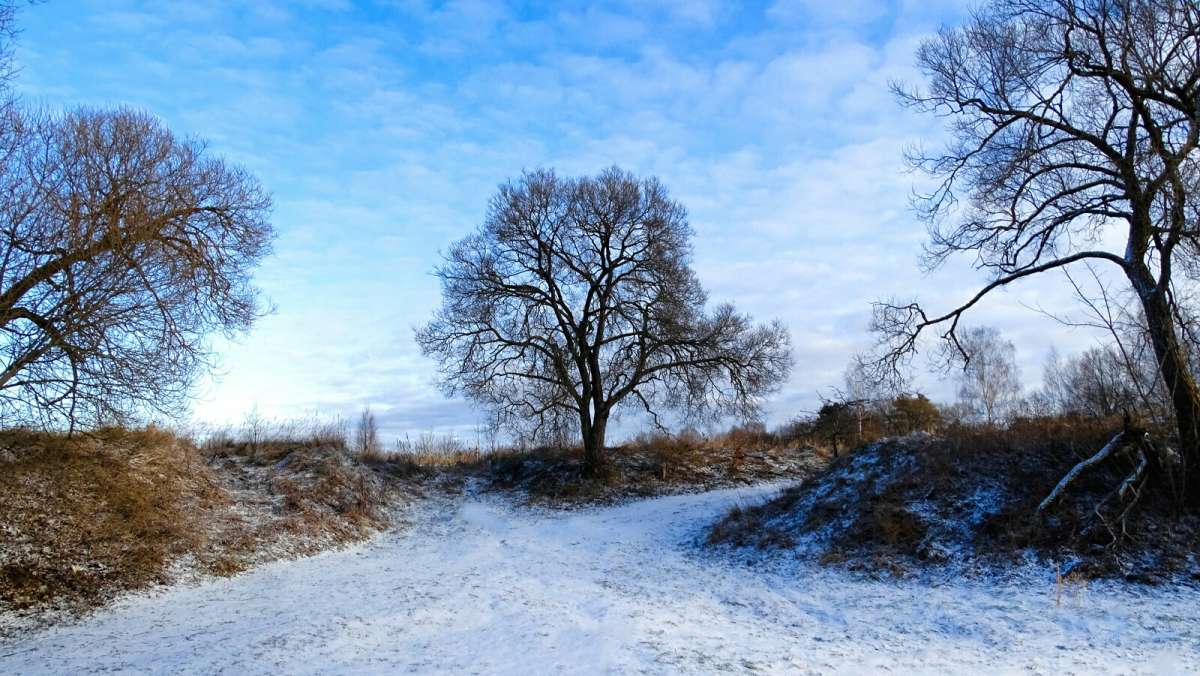 ��� ����������� ��� �� ��������. ����� �������� �������� �� PhotoGeek.ru #������ ��� �������