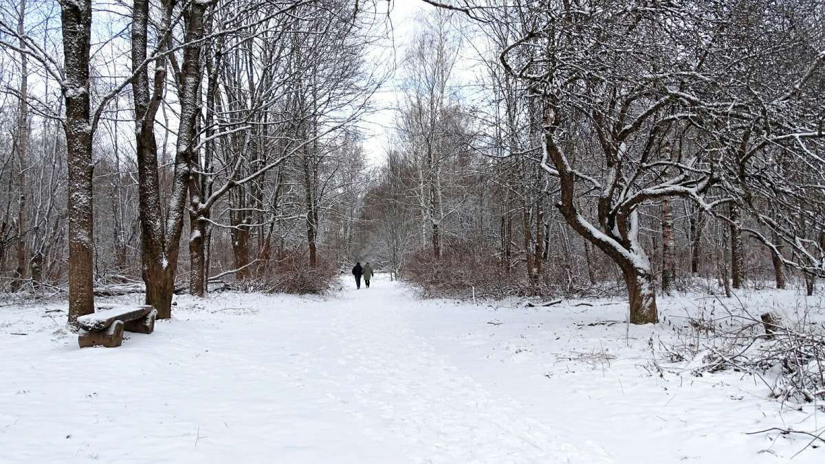 � ��������� �����. ����� �������� �������� �� PhotoGeek.ru #����� #������ ��� �������