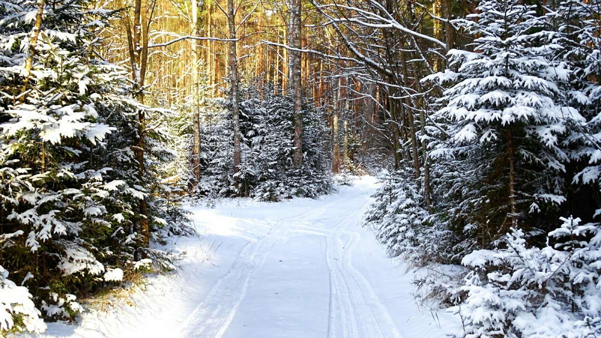 ������ ���. ����� �������� �������� �� PhotoGeek.ru #������ ��� �������