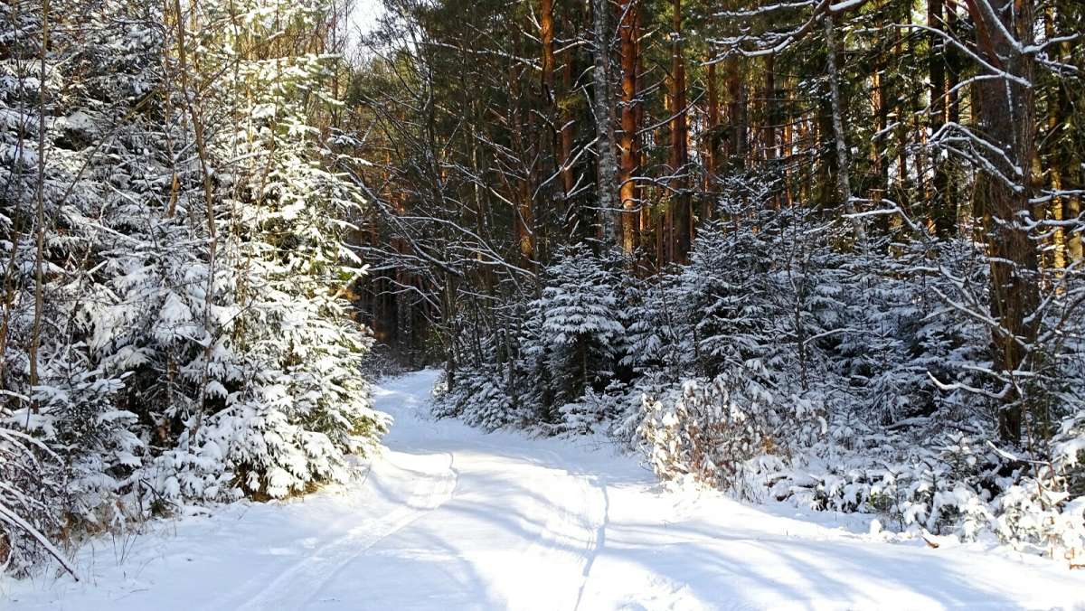 ��� ����� ������� ���������. ����� �������� �������� �� PhotoGeek.ru #������ ��� �������