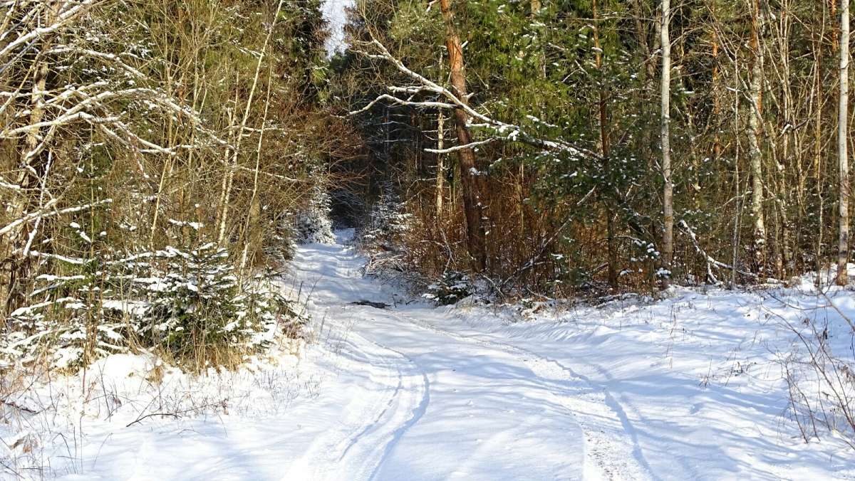 ������ ������� ����. ����� �������� �������� �� PhotoGeek.ru #������ ��� �������