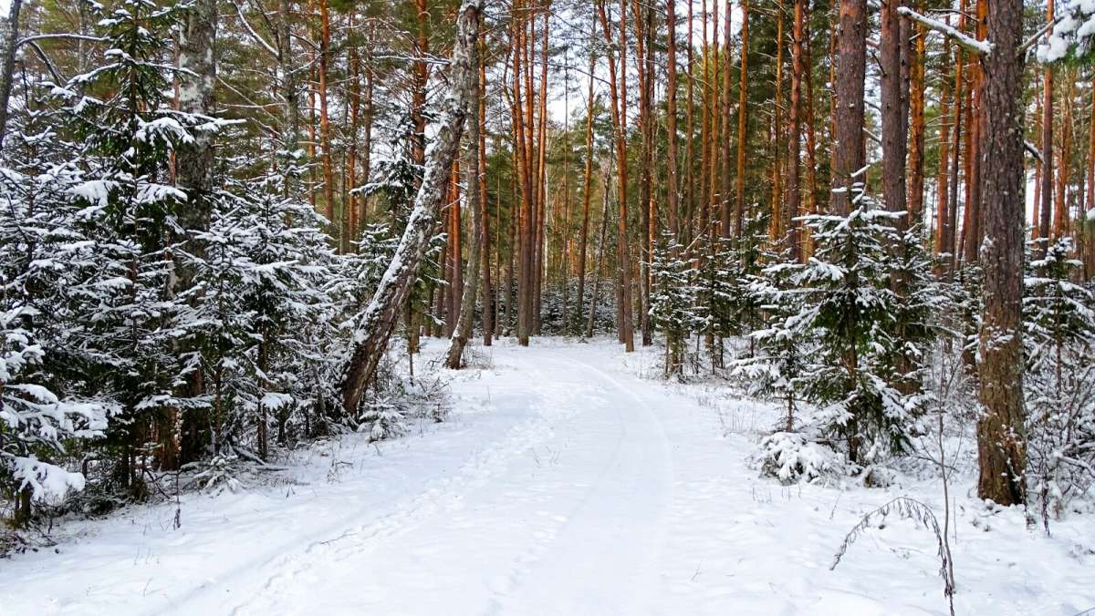 �������� ��� ����� ���������. ����� �������� �������� �� PhotoGeek.ru #������ ��� �������