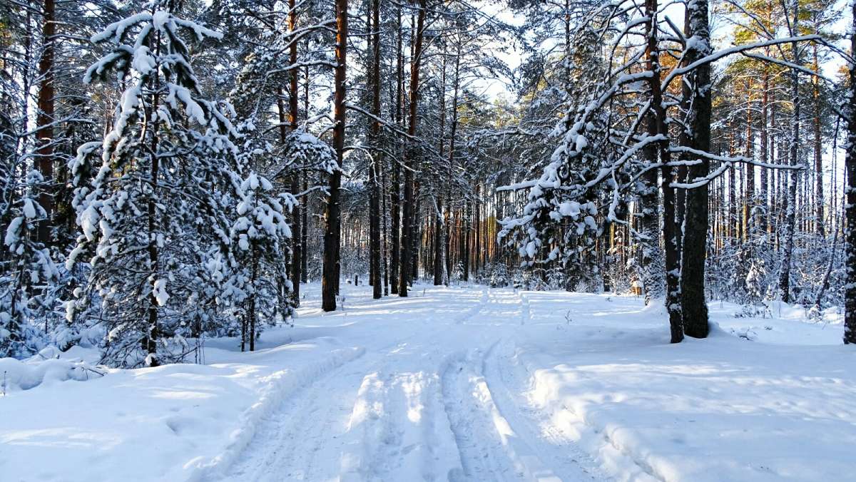 � ��������� ����. ����� �������� �������� �� PhotoGeek.ru #������ ��� �������