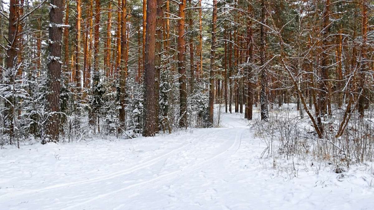 ������ � �������� ����. ����� �������� �������� �� PhotoGeek.ru #������ ��� �������