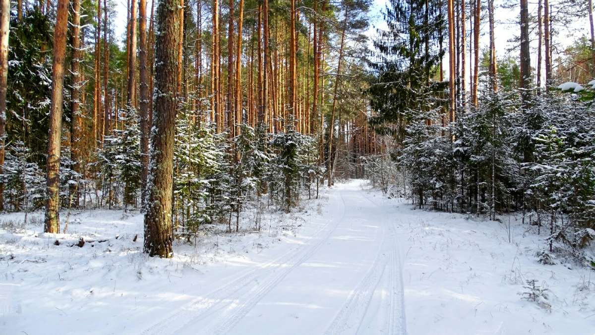 ��� ���������� ����. ����� �������� �������� �� PhotoGeek.ru #������ ��� �������