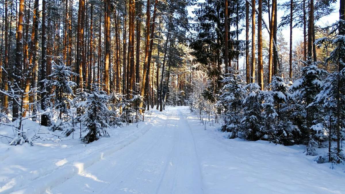 ��� ���������� ����. ����� �������� �������� �� PhotoGeek.ru #������ ��� �������