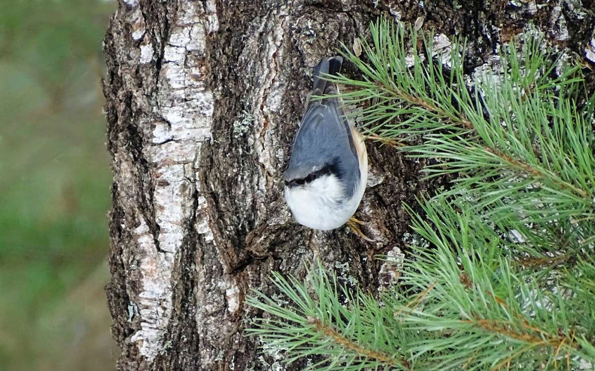 ������ ���������� - ���������. ����� �������� �������� �� PhotoGeek.ru #�������� ���