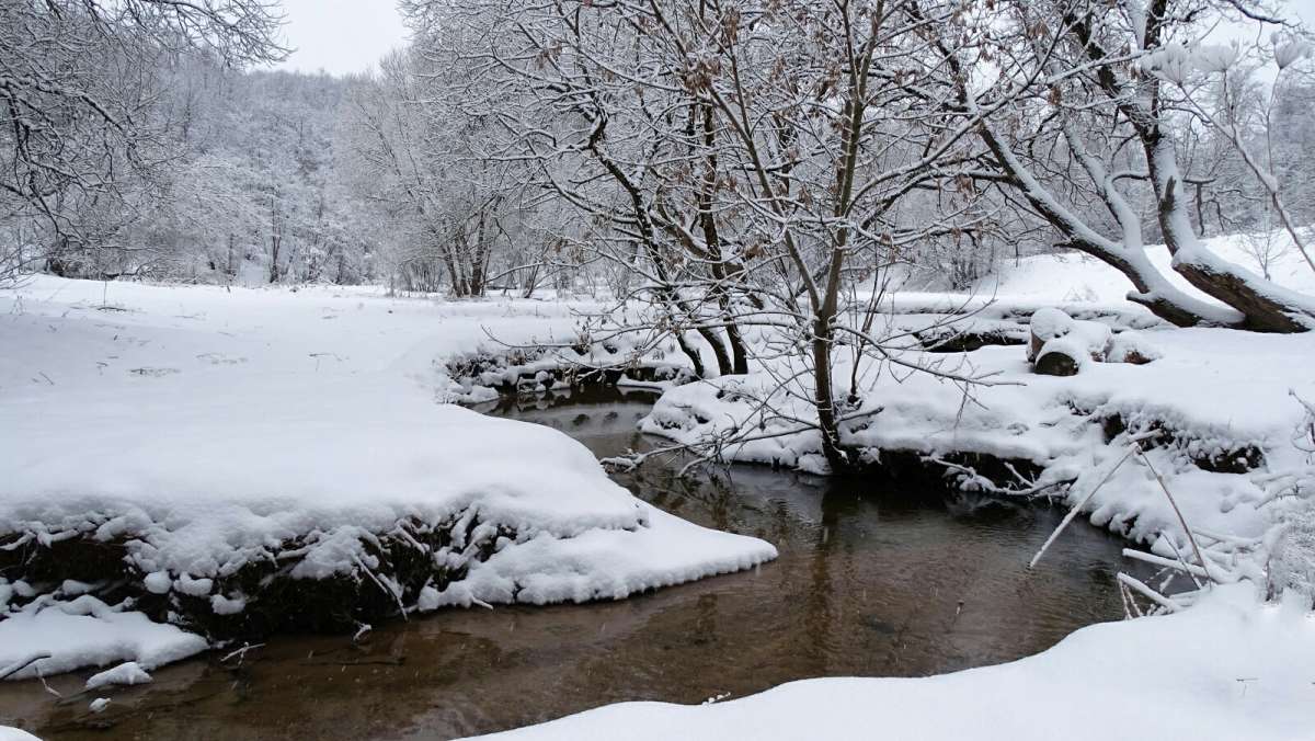 � ��������� �����. ����� �������� �������� �� PhotoGeek.ru #����� #������ ��� �������