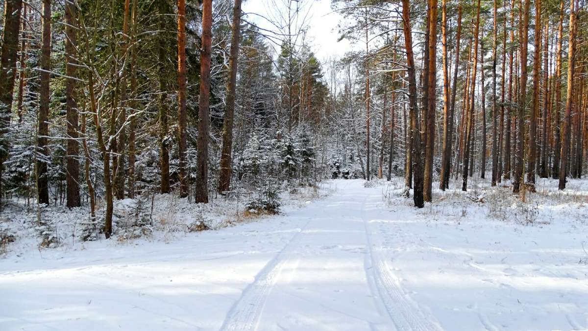 ������ ���. ����� �������� �������� �� PhotoGeek.ru #������ ��� �������