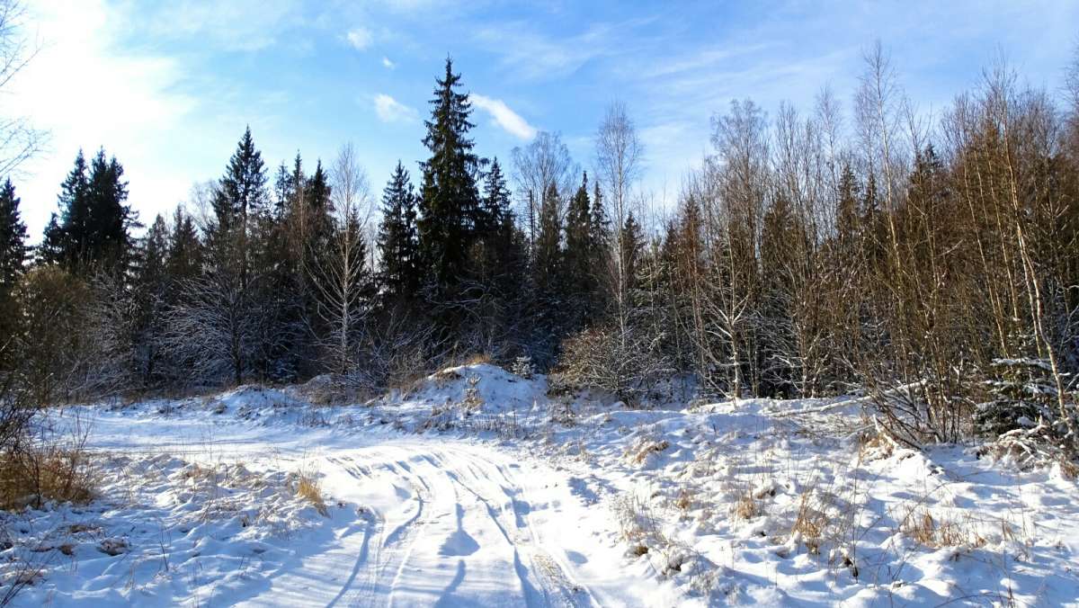 ������ � ������. ����� �������� �������� �� PhotoGeek.ru #������ ��� �������