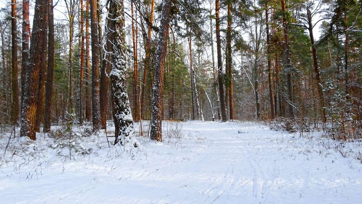 � ������ ���� ��� ����������. ����� �������� �������� �� PhotoGeek.ru #������ ��� �������