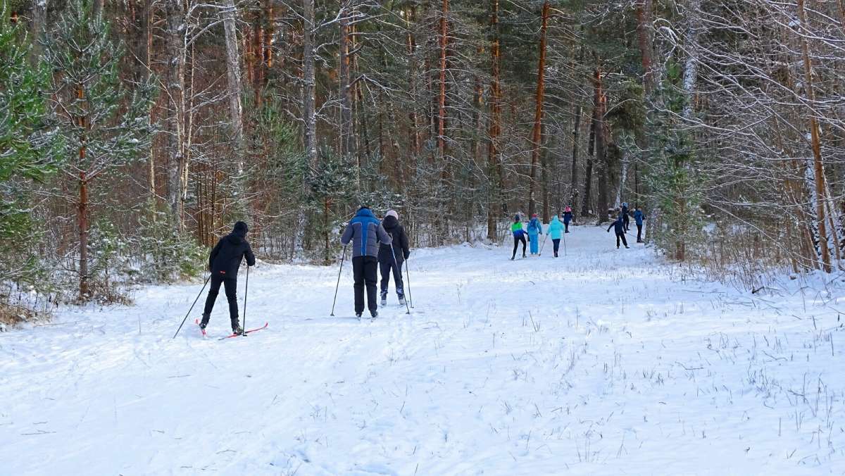 ������ ����� ��������� �� ����� ��-�� ������� ����������. ����� �������� �������� �� PhotoGeek.ru #����� #������ ��� �������