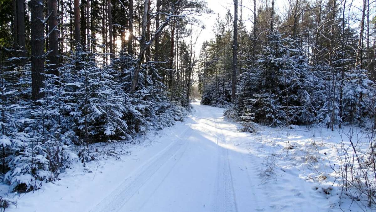 ������ ���. ����� �������� �������� �� PhotoGeek.ru #������ ��� �������