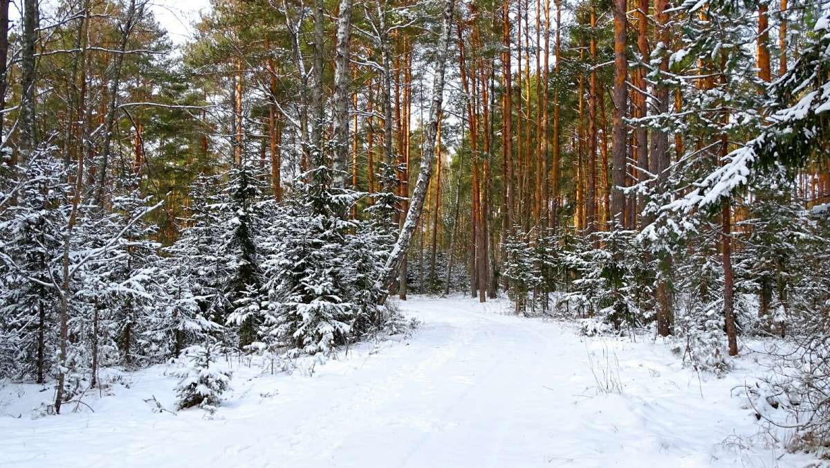 ������ ������. ����� �������� �������� �� PhotoGeek.ru #������ ��� �������