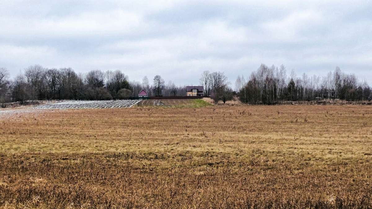 ������������� ����� �� ���������� (������ ��� ����� �� ���� ���� ����� ����. ����� �������� �������� �� PhotoGeek.ru #������ ��� �������