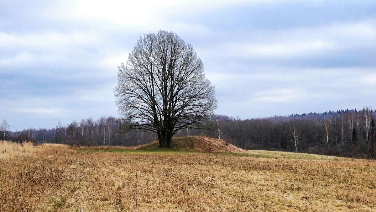 �������� ��� �� ���������� ����. ����� �������� �������� �� PhotoGeek.ru #������ ��� �������