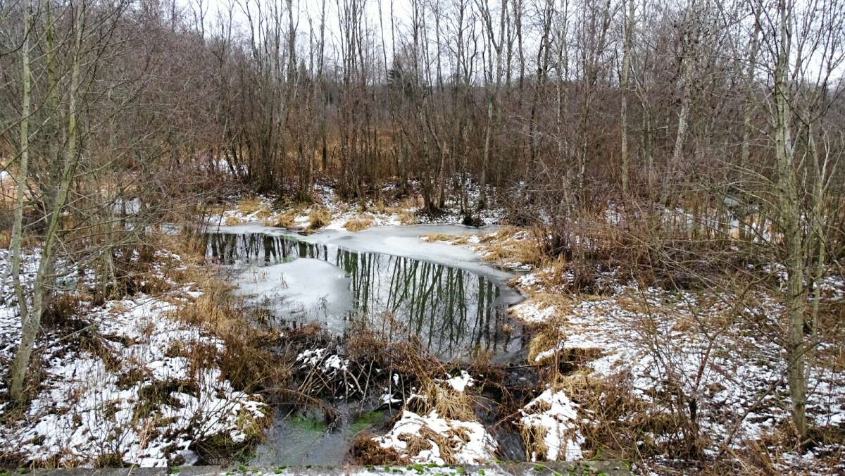 ����������� ������. ����� �������� �������� �� PhotoGeek.ru #������ ��� �������