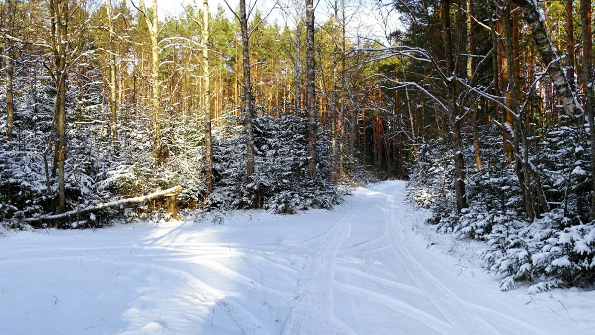 ���� - ������ ����� �������� �������� �� PhotoGeek.ru #������ ��� �������