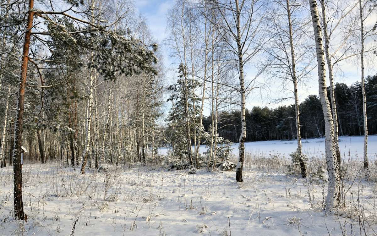 �������� ���� ����� �������� �������� �� PhotoGeek.ru #������ ��� �������