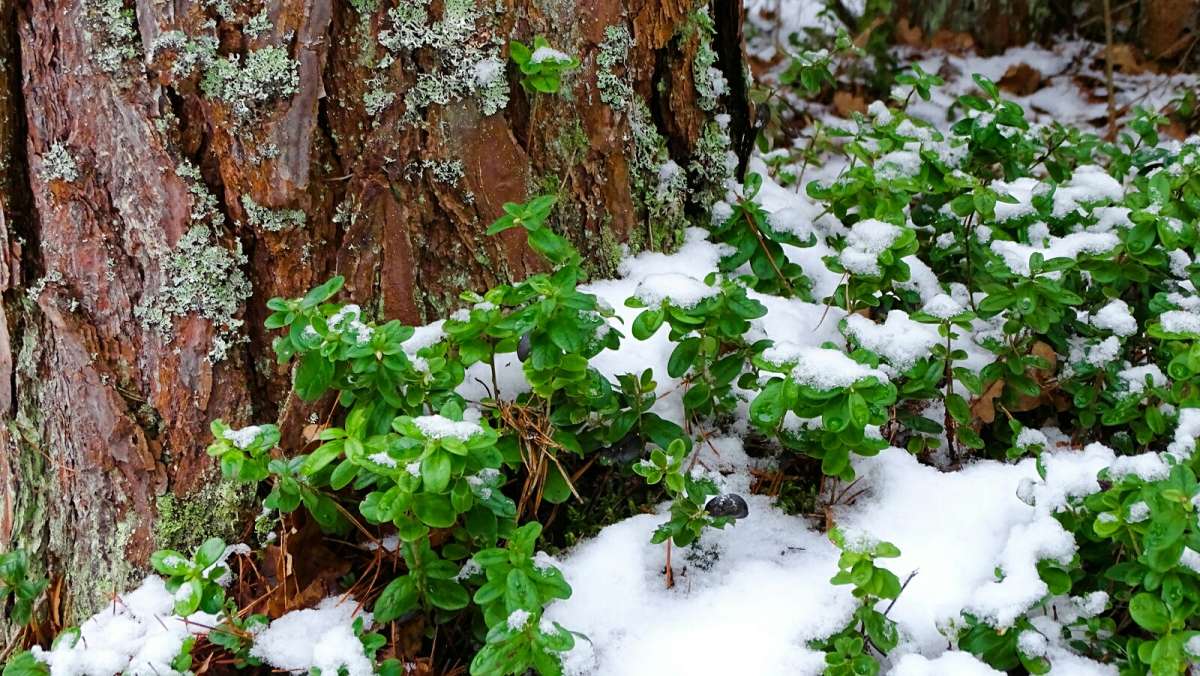 ������� �������� � ������. ����� �������� �������� �� PhotoGeek.ru #����� #������ ��� �������