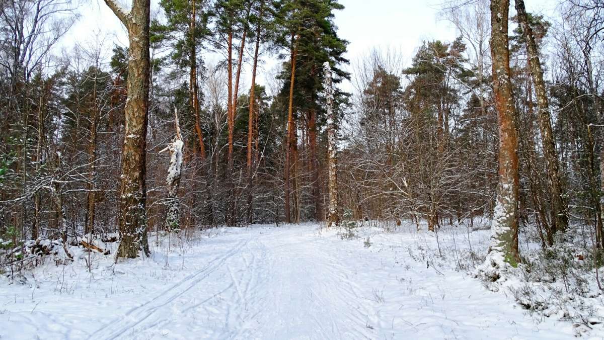 ������� ����������. ����� �������� �������� �� PhotoGeek.ru #������ ��� �������