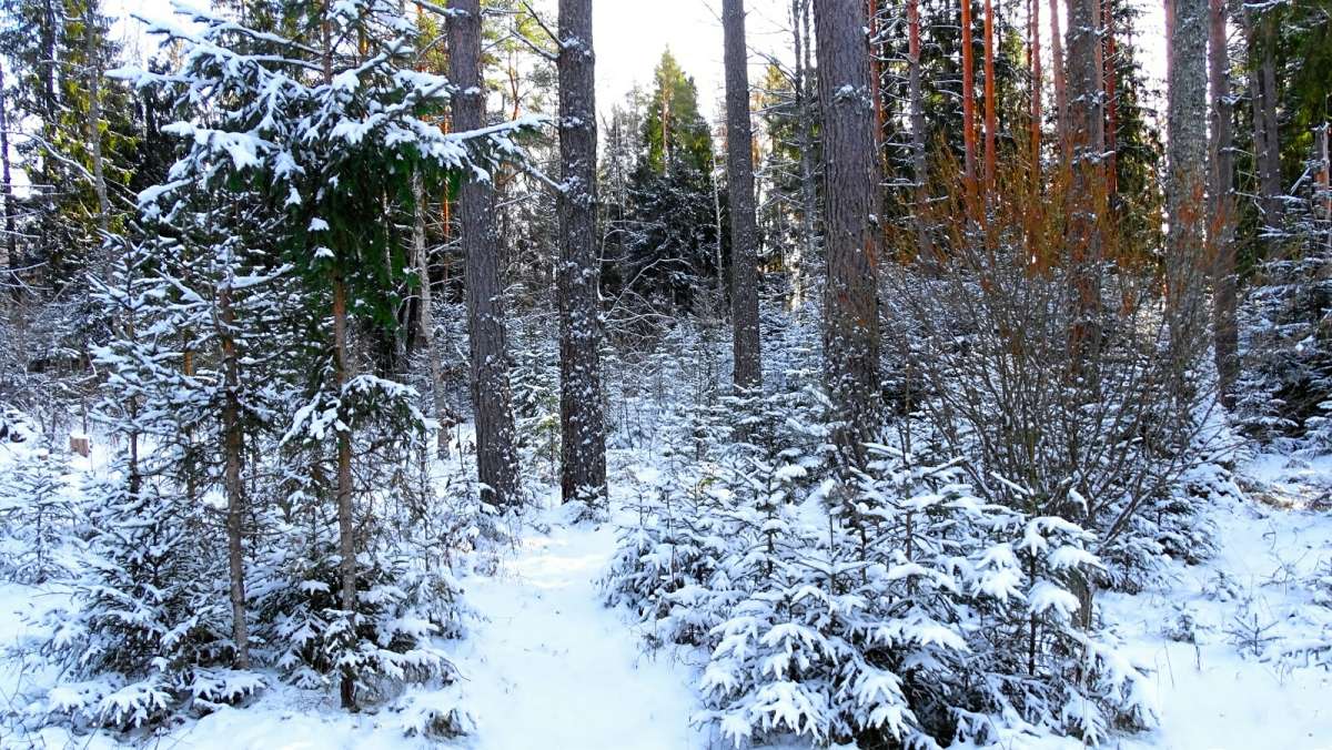 � ��������� ���� �� ���������. ����� �������� �������� �� PhotoGeek.ru #������ ��� �������