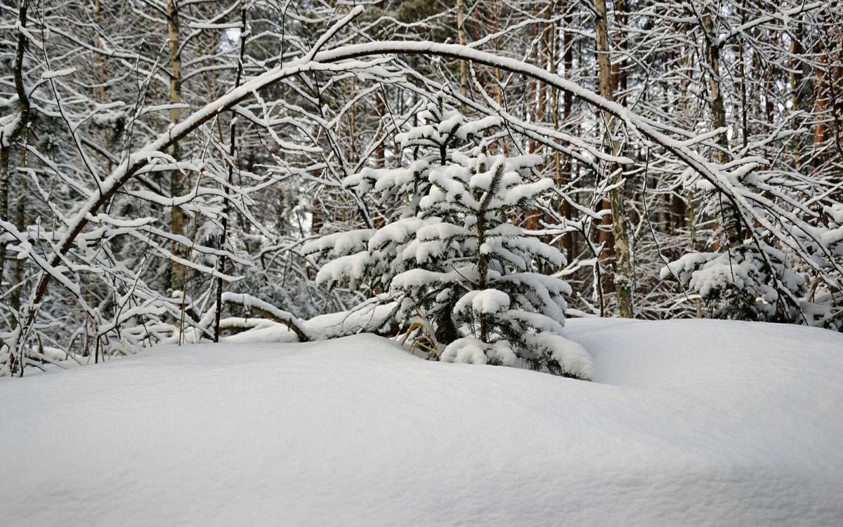 ���� ���� �������. ����� �������� �������� �� PhotoGeek.ru #������ ��� �������