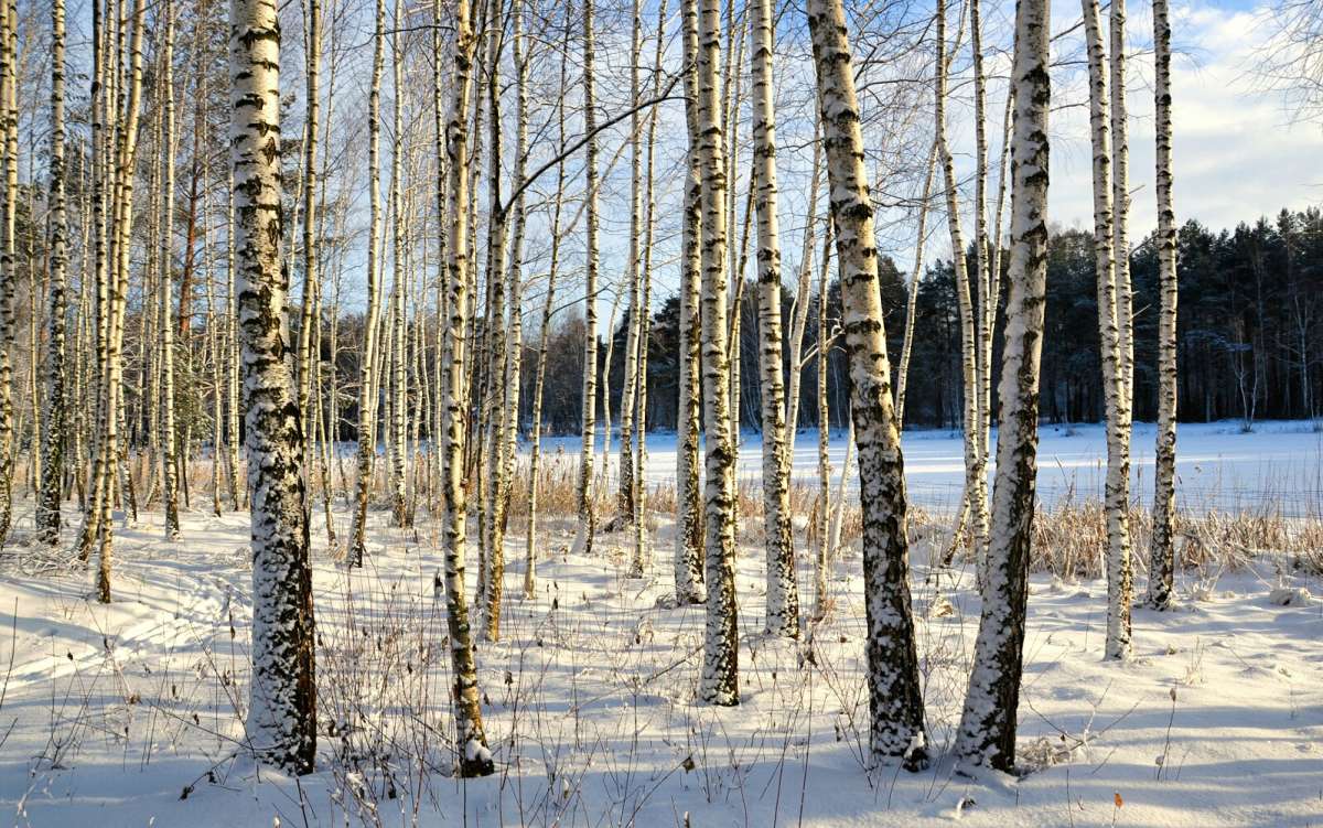 �������� ���� � ������. ����� �������� �������� �� PhotoGeek.ru #������ ��� �������