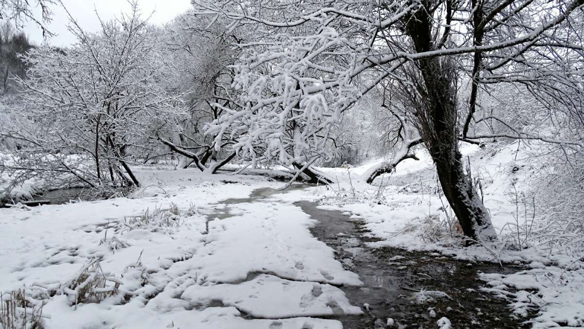 ����� ����, ������� �� �����. ����� �������� �������� �� PhotoGeek.ru #������ ��� �������