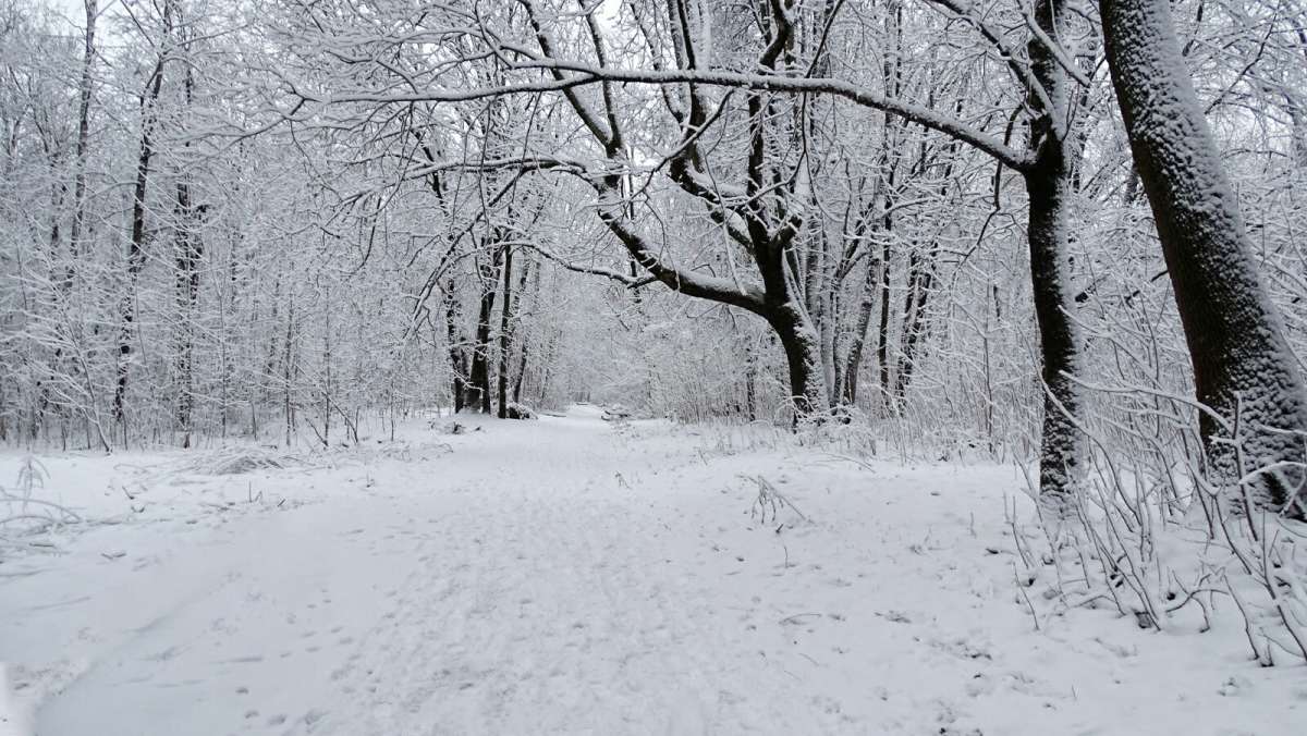 ��� ����� ����. ����� �������� �������� �� PhotoGeek.ru #������ ��� �������