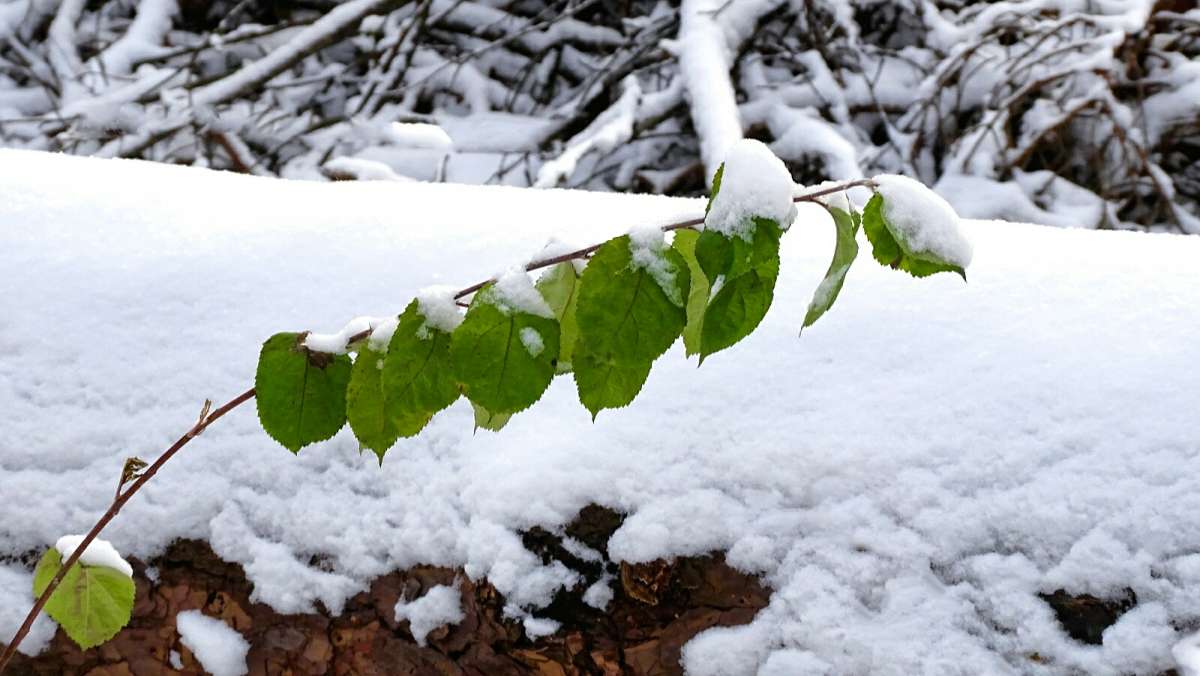 � ������ ����� ���������. ����� �������� �������� �� PhotoGeek.ru #�����