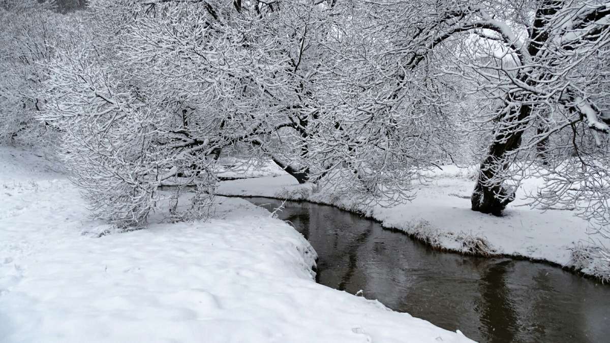 ����� �����, ����� �����...! ����� �������� �������� �� PhotoGeek.ru #������ ��� �������