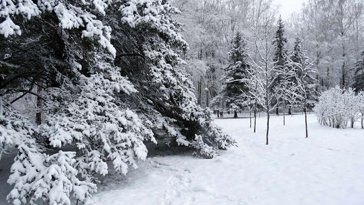 � ���� ����� � �����... . ����� �������� �������� �� PhotoGeek.ru #����� #������ ��� �������