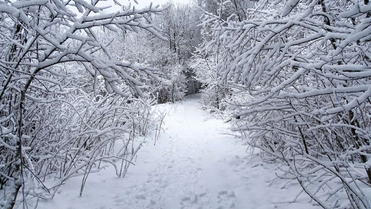 � ������� �������. ����� �������� �������� �� PhotoGeek.ru #����� #������ ��� �������