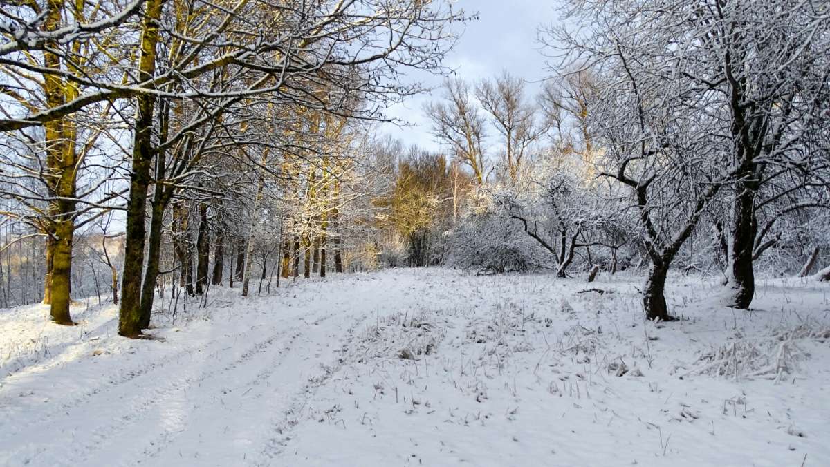 ��������� ���� � ����. ����� �������� �������� �� PhotoGeek.ru #������ ��� �������