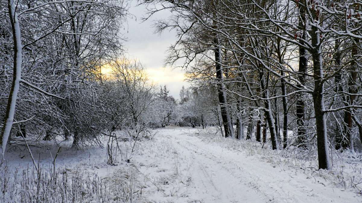 �������� ������ ������. ����� �������� �������� �� PhotoGeek.ru #������ ��� �������